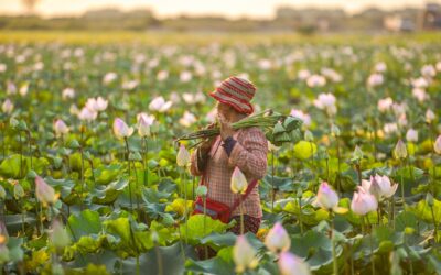 Kisah Sukses Penerima Manfaat Program Bantuan Sosial di Desa Galur