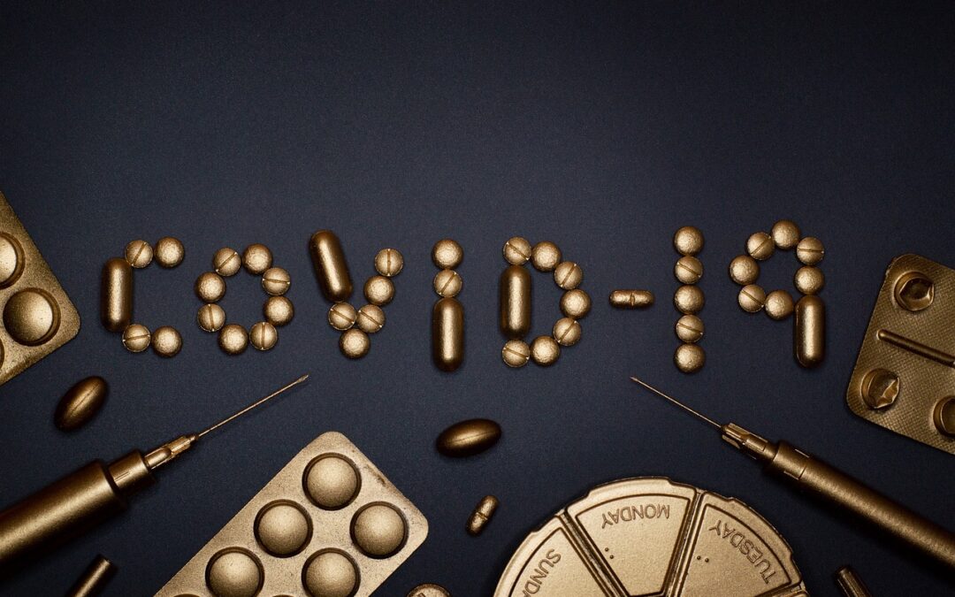 Peran Lembaga Desa dalam Implementasi Program Bantuan Sosial di Galur