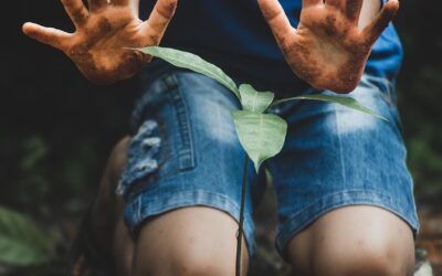 Pelatihan Perekonomian: Mengubah Masa Depan Ekonomi Desa Galur