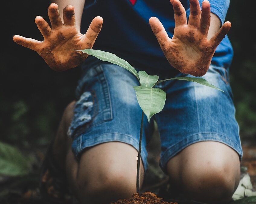 Pelatihan Perekonomian: Mengubah Masa Depan Ekonomi Desa Galur
