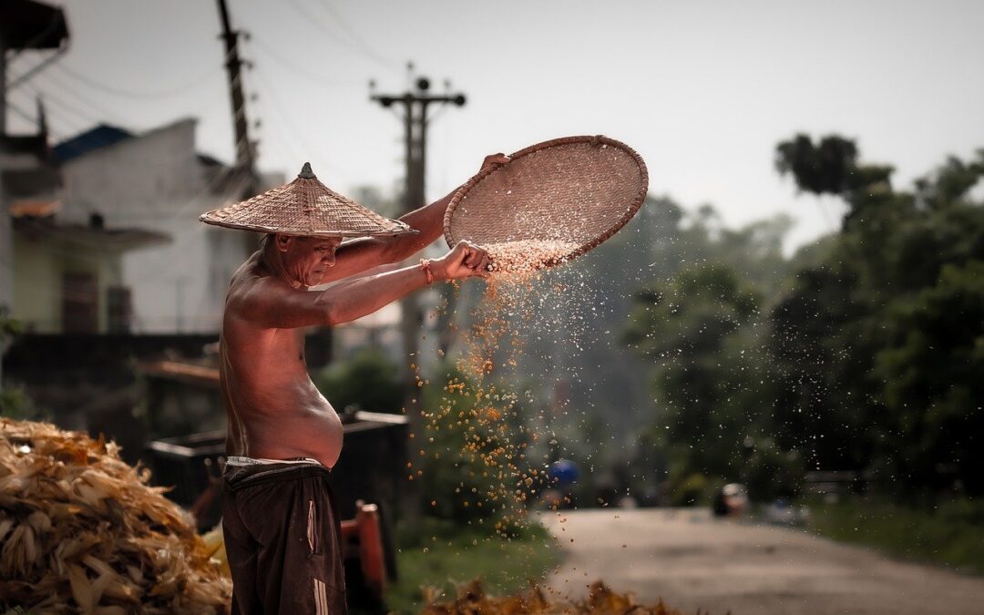 Menggali Potensi Ekonomi Melalui Pelatihan di Desa Galur