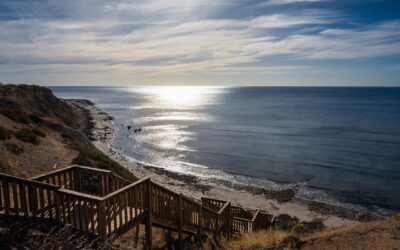Pelatihan Perekonomian dan Pembangunan Berkelanjutan di Galur