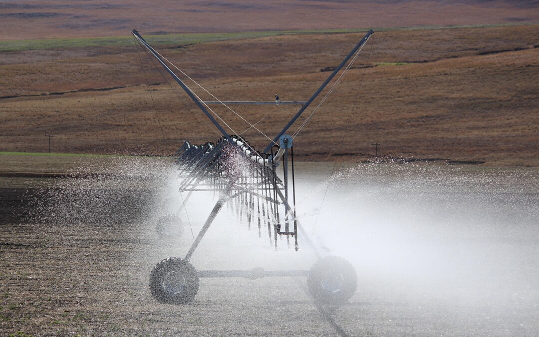 Kesuksesan Program Pelatihan Perekonomian di Desa Galur