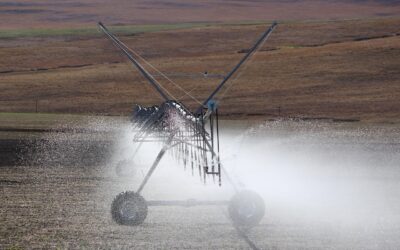 Kesuksesan Program Pelatihan Perekonomian di Desa Galur